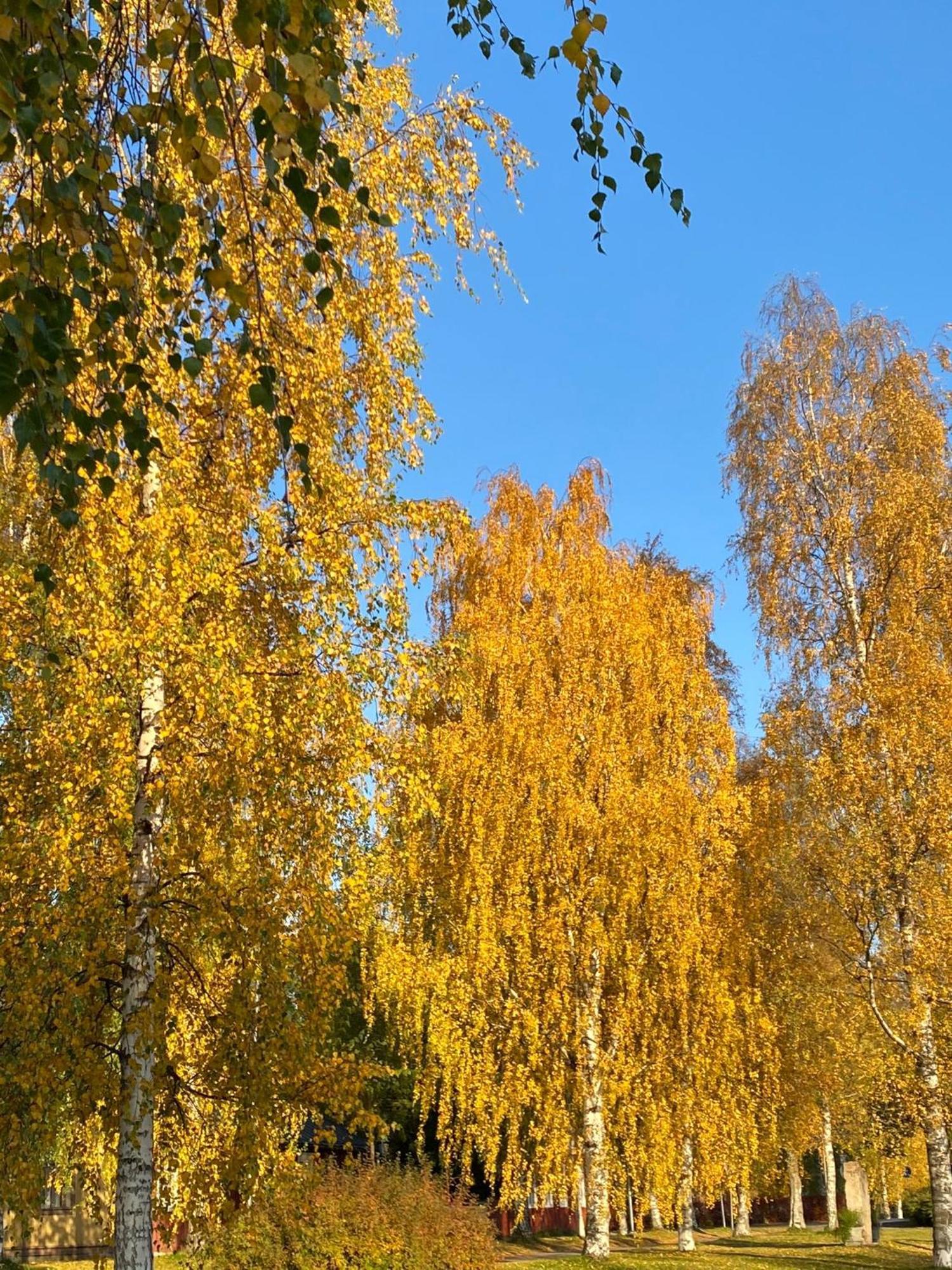 Taljatie Apartments Rovaniemi Ngoại thất bức ảnh